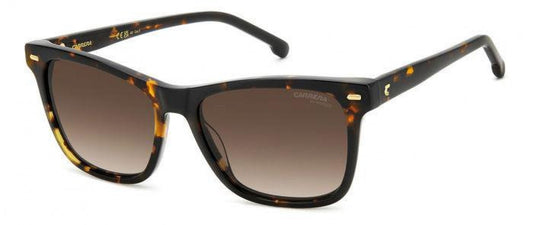 Carreera 3001 Sunglasses