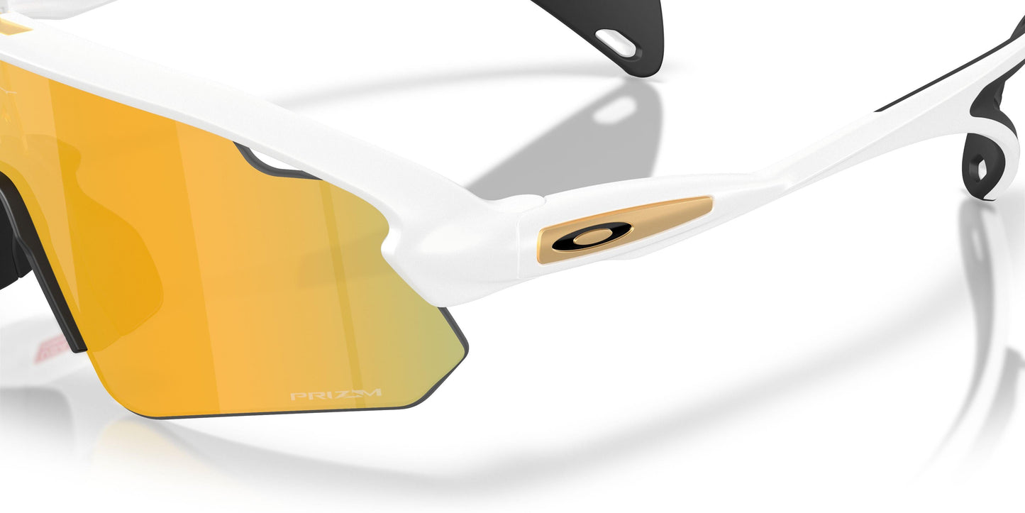 Oaakley Stunt Devil A 9525 Sunglasses