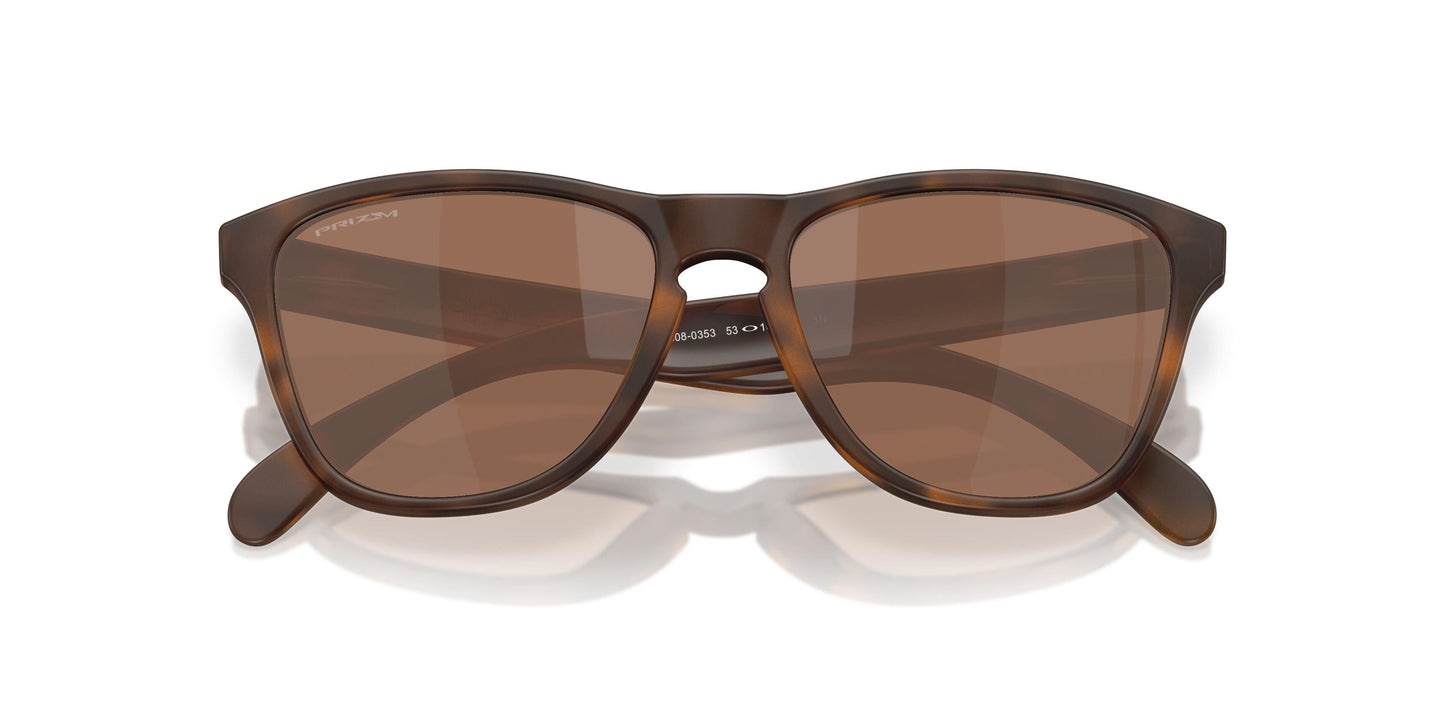 Oaakley Frogskins S 9508 Sunglasses