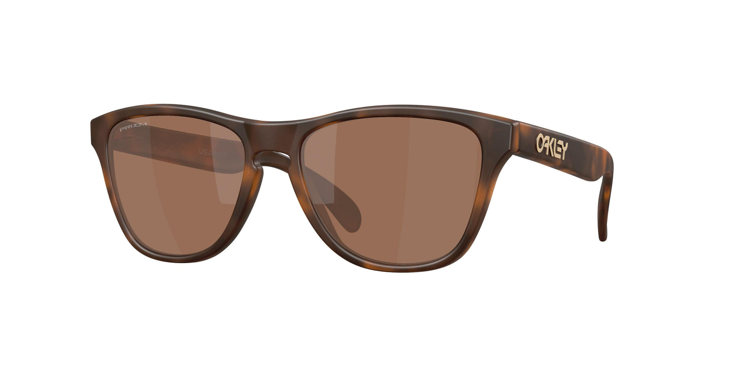 Oaakley Frogskins S 9508 Sunglasses