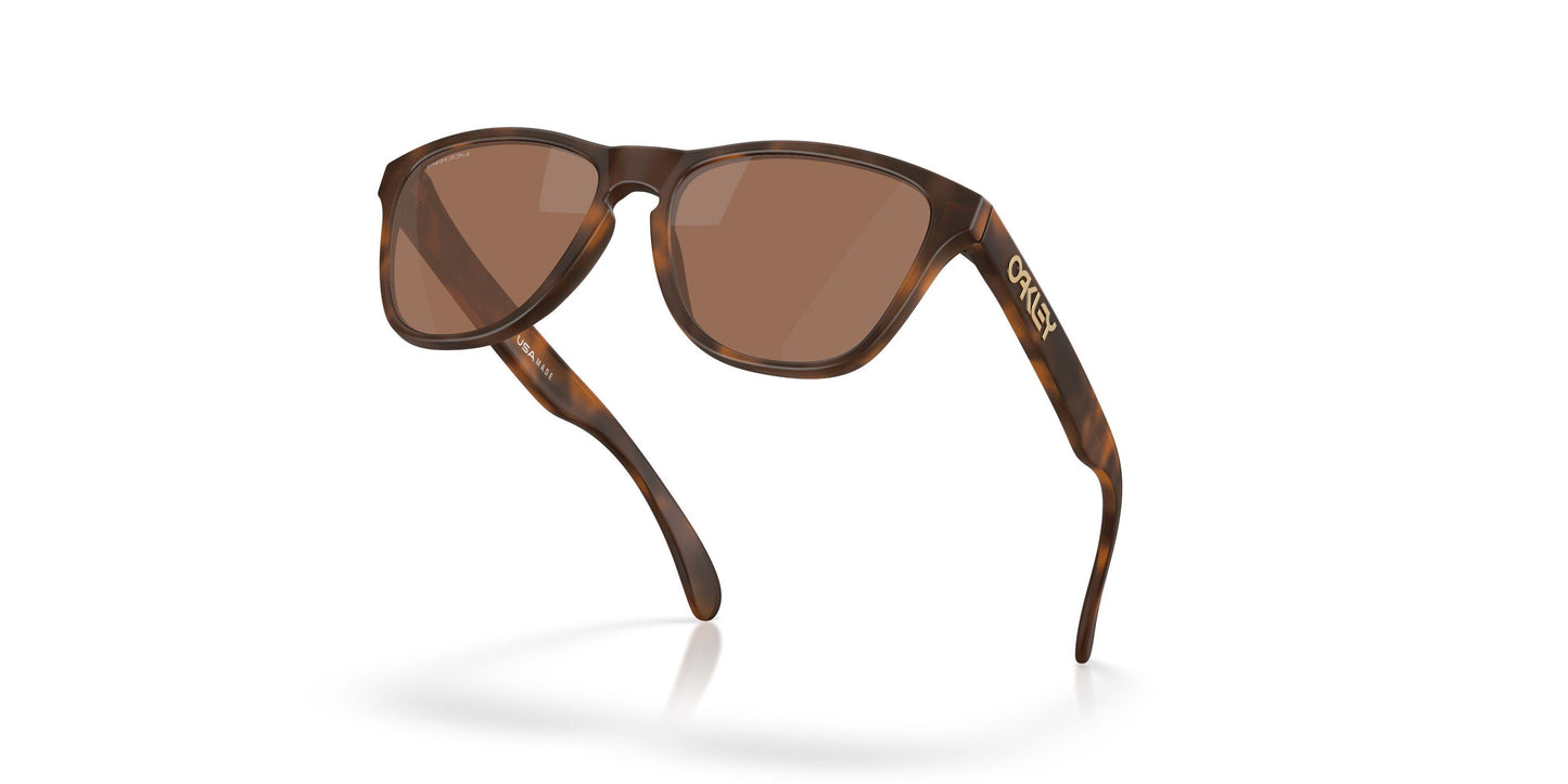 Oaakley Frogskins S 9508 Sunglasses