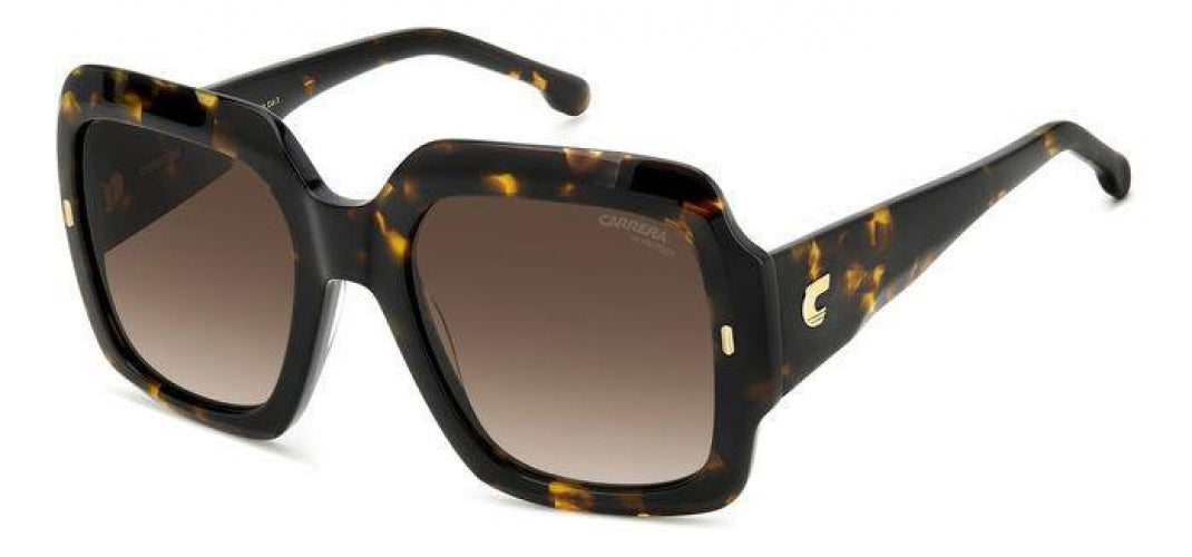 Carreera 3004 Sunglasses