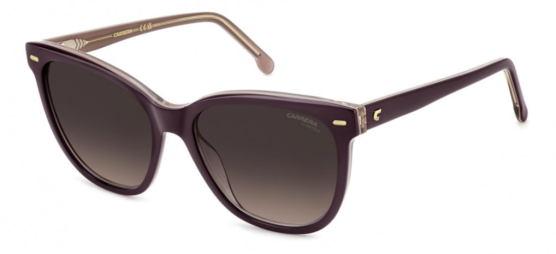 Carreera 3043 Sunglasses