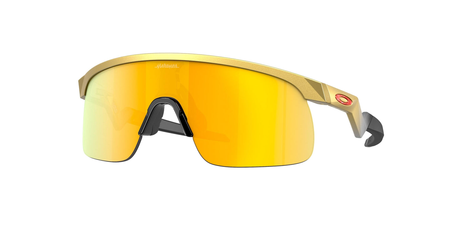Oaakley Resistor 9010 Sunglasses