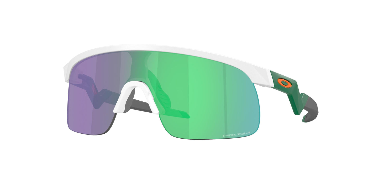Oaakley Resistor 9010 Sunglasses