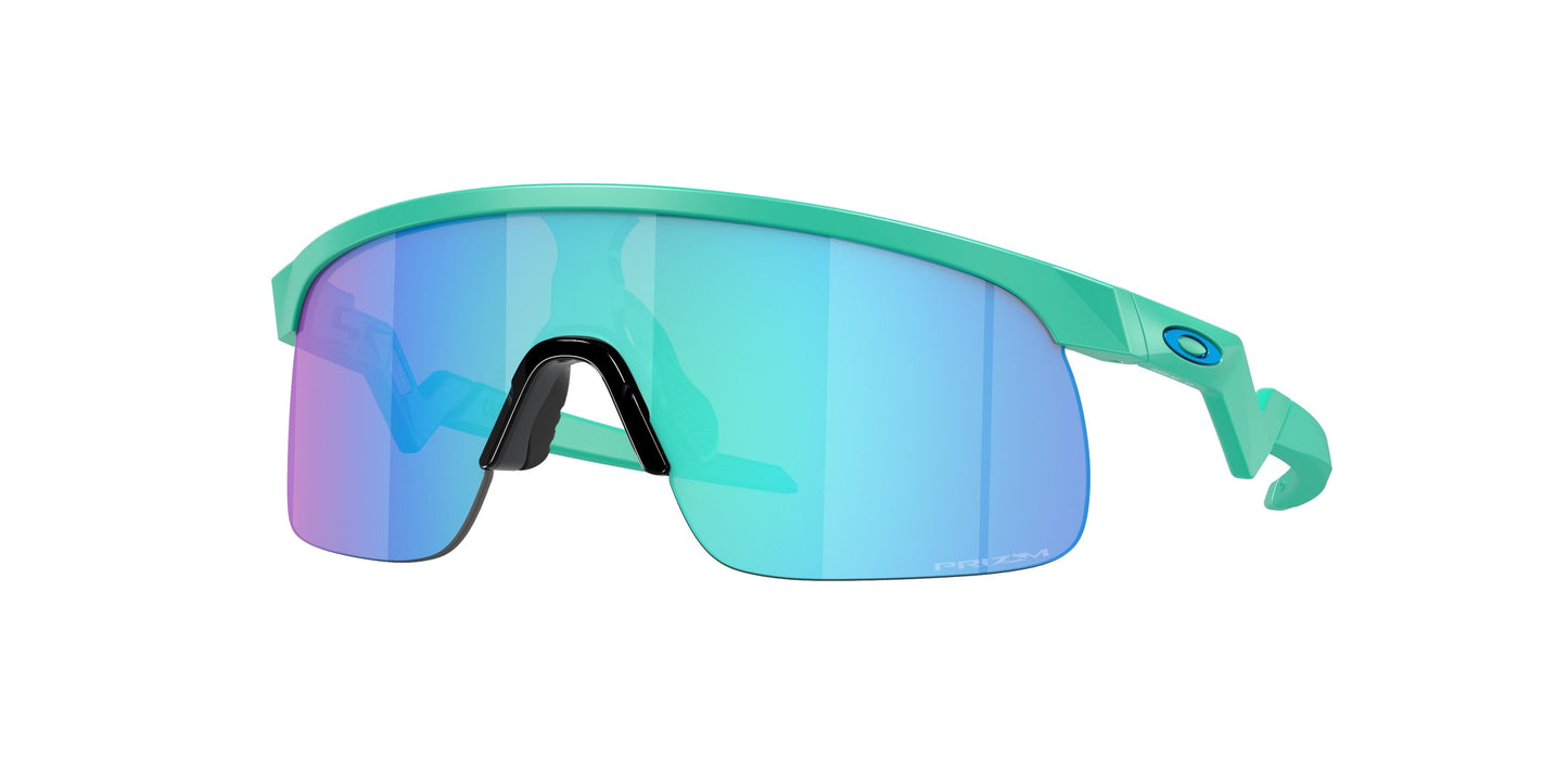 Oaakley Resistor 9010 Sunglasses
