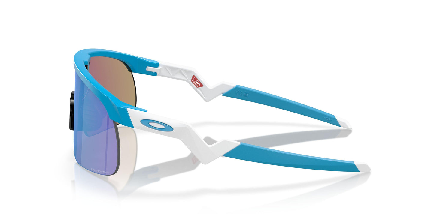 Oaakley Resistor 9010 Sunglasses