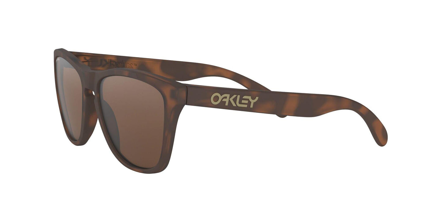 Oaakley Frogskins 9013 Sunglasses