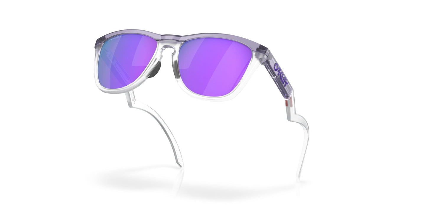 Oaakley Frogskins Hybrid 9289 Sunglasses