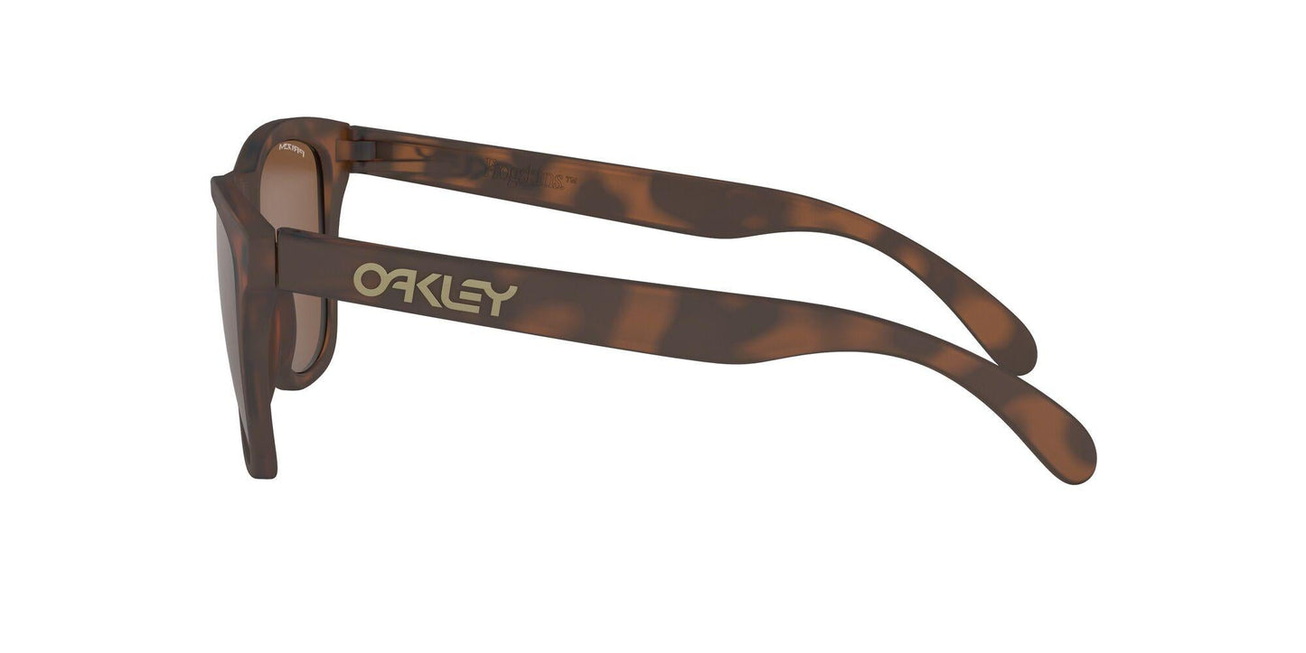 Oaakley Frogskins 9013 Sunglasses