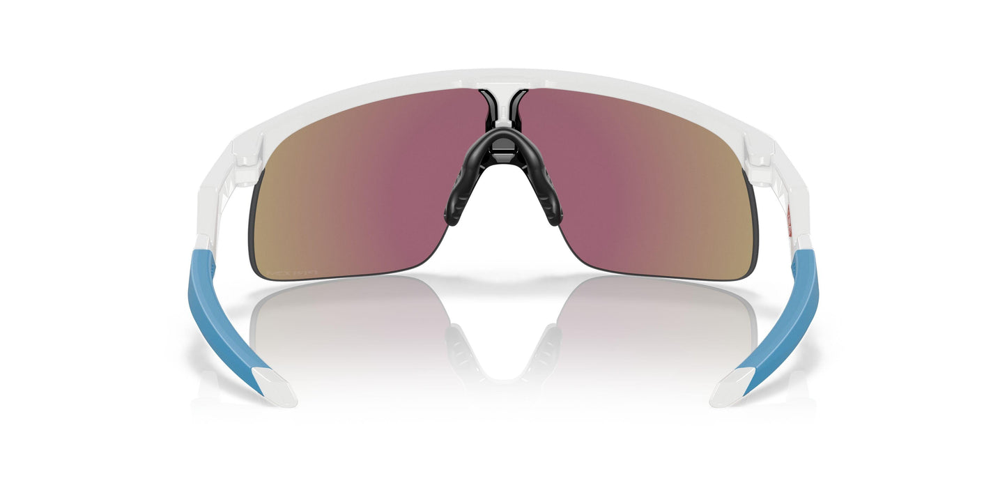 Oaakley Resistor 9010 Sunglasses