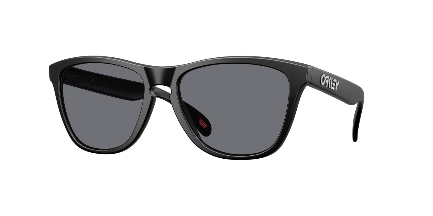Oaakley Frogskins 9013 Sunglasses