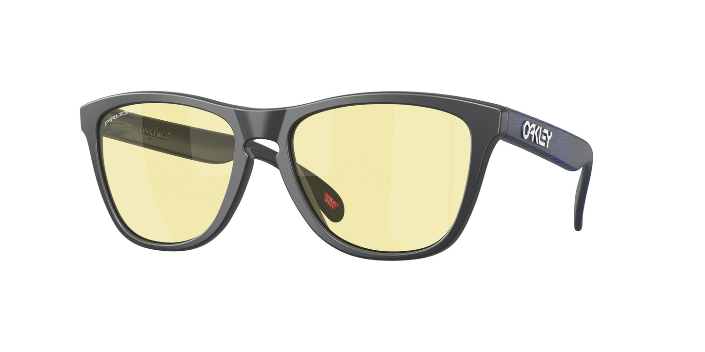 Oaakley Frogskins 9013 Sunglasses