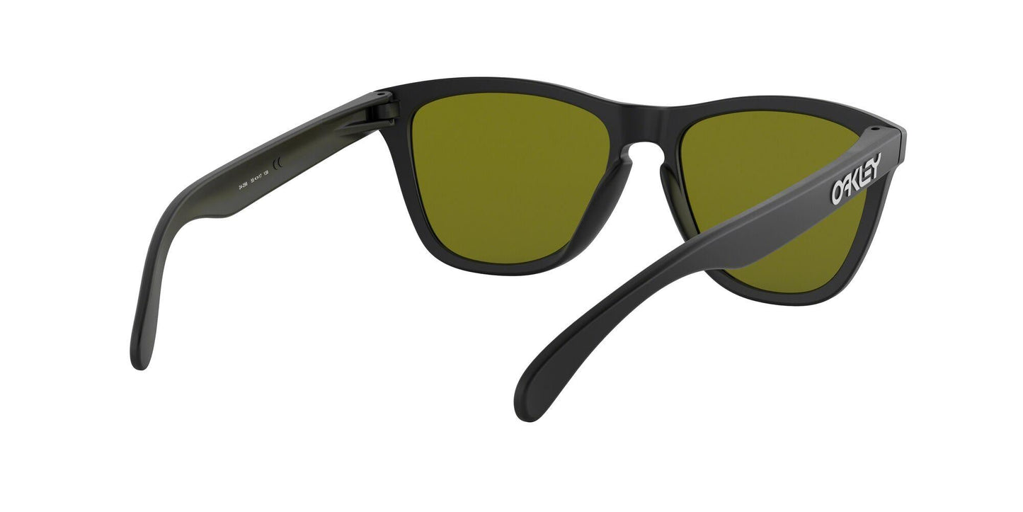 Oaakley Frogskins 9013 Sunglasses