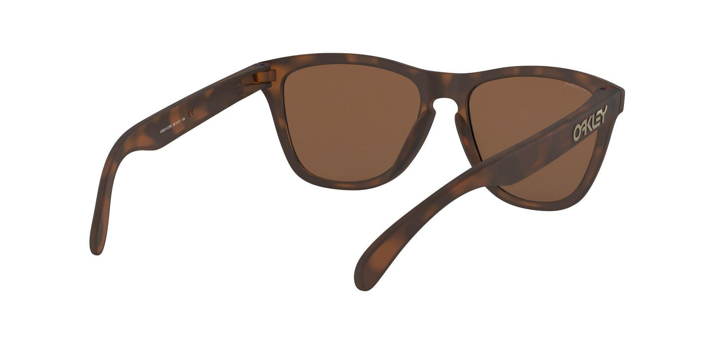 Oaakley Frogskins 9013 Sunglasses