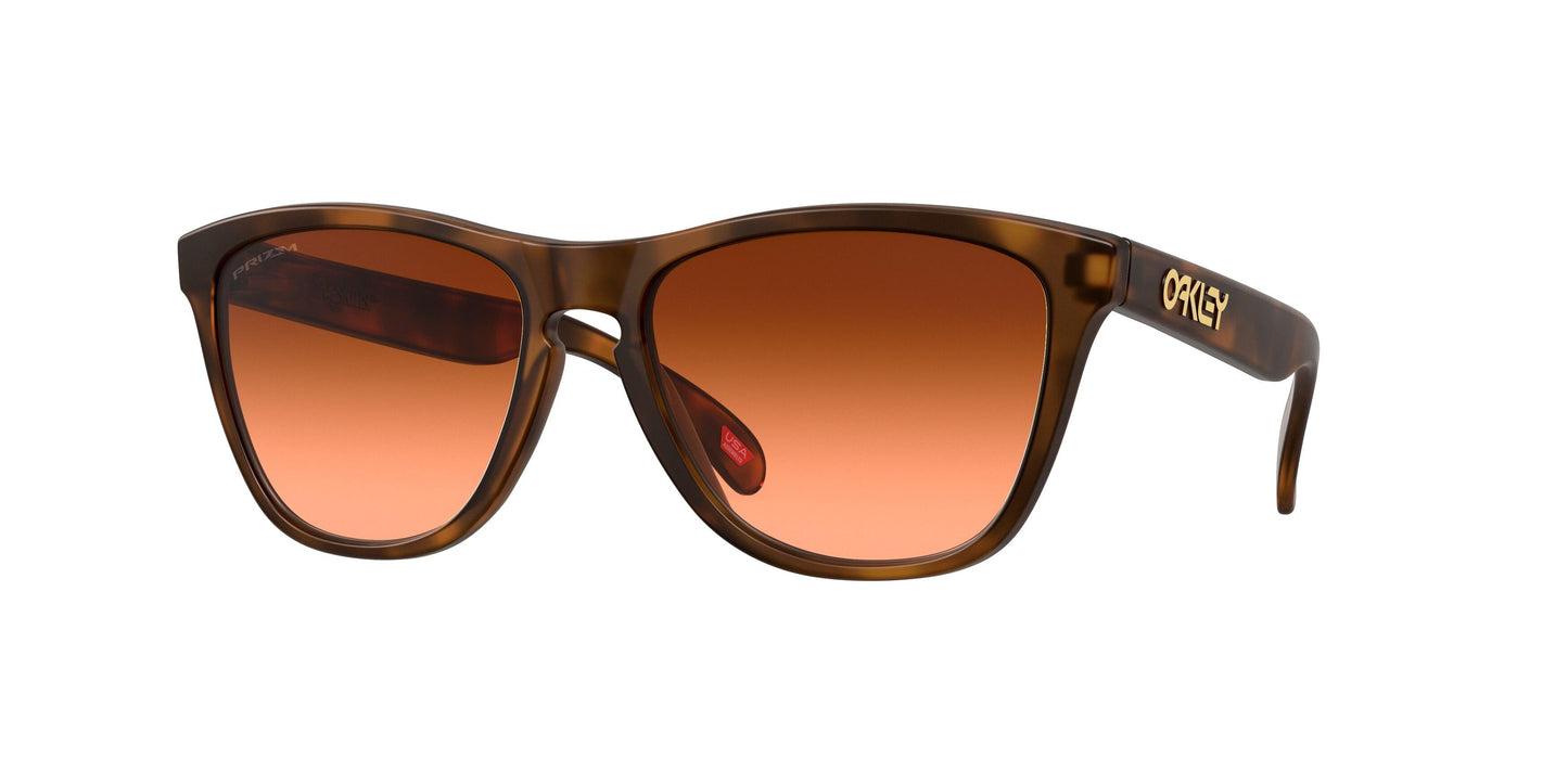 Oaakley Frogskins 9245 Sunglasses