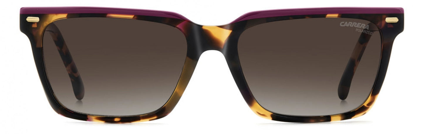Carreera 3056 Sunglasses