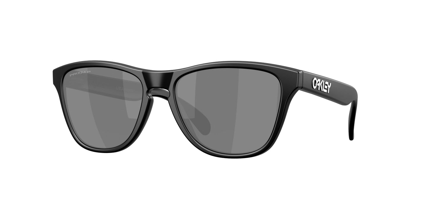 Oaakley Frogskins S 9508 Sunglasses