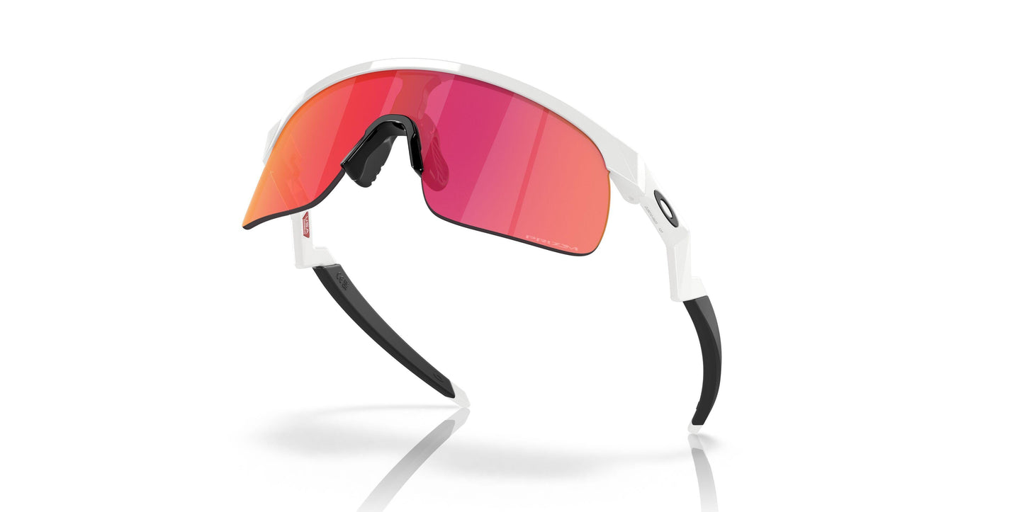 Oaakley Resistor 9010 Sunglasses