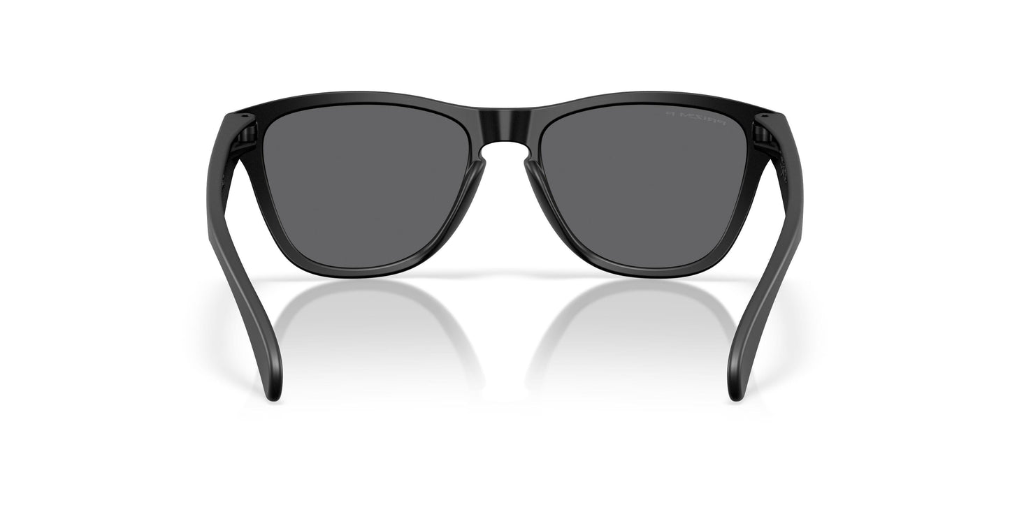 Oaakley Frogskins S 9508 Sunglasses