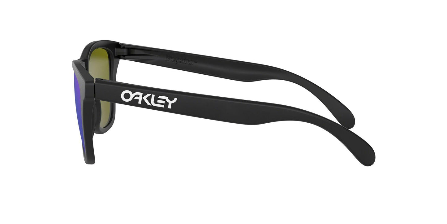 Oaakley Frogskins 9013 Sunglasses