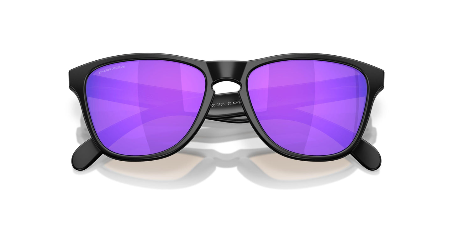 Oaakley Frogskins S 9508 Sunglasses