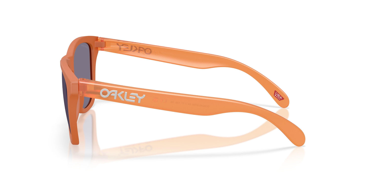 Oaakley Frogskins 9245 Sunglasses