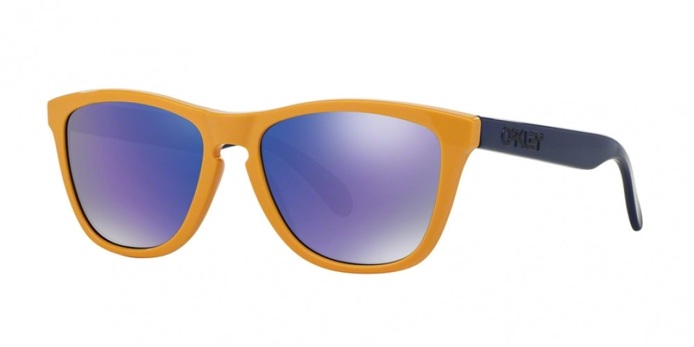 Oaakley Frogskins 9013 Sunglasses