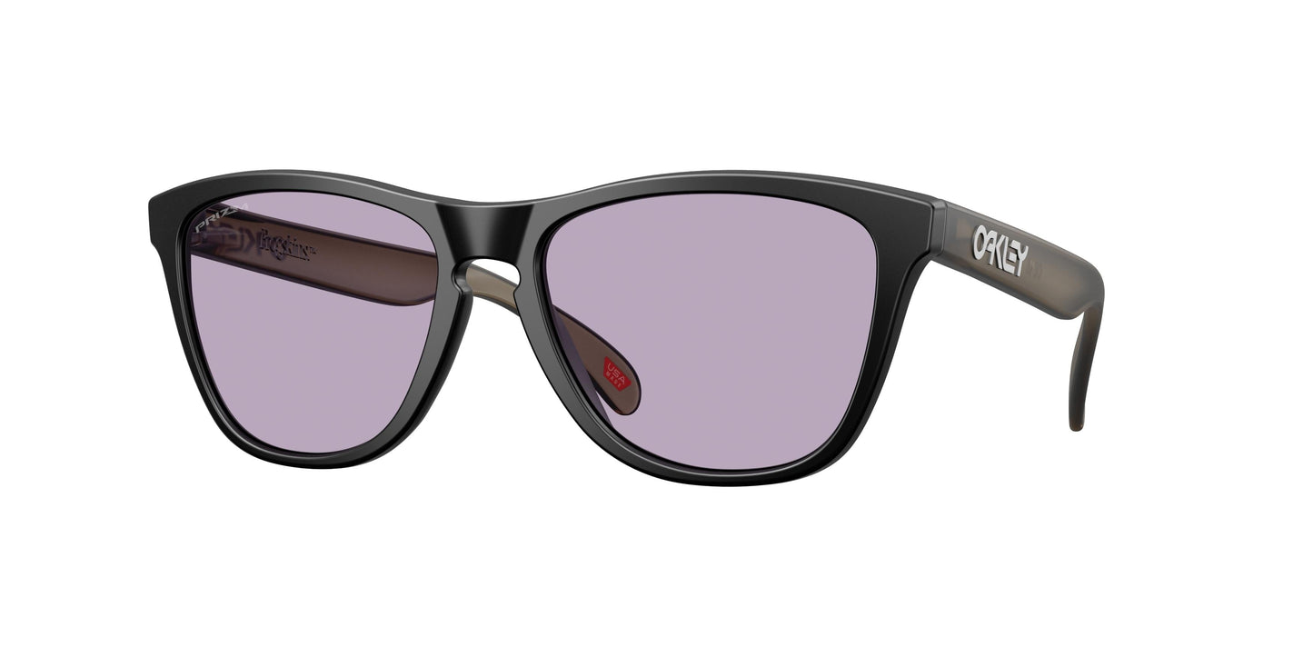 Oaakley Frogskins 9245 Sunglasses