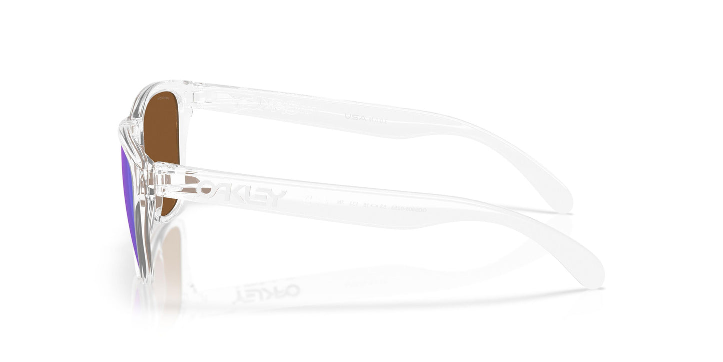 Oaakley Frogskins S 9508 Sunglasses