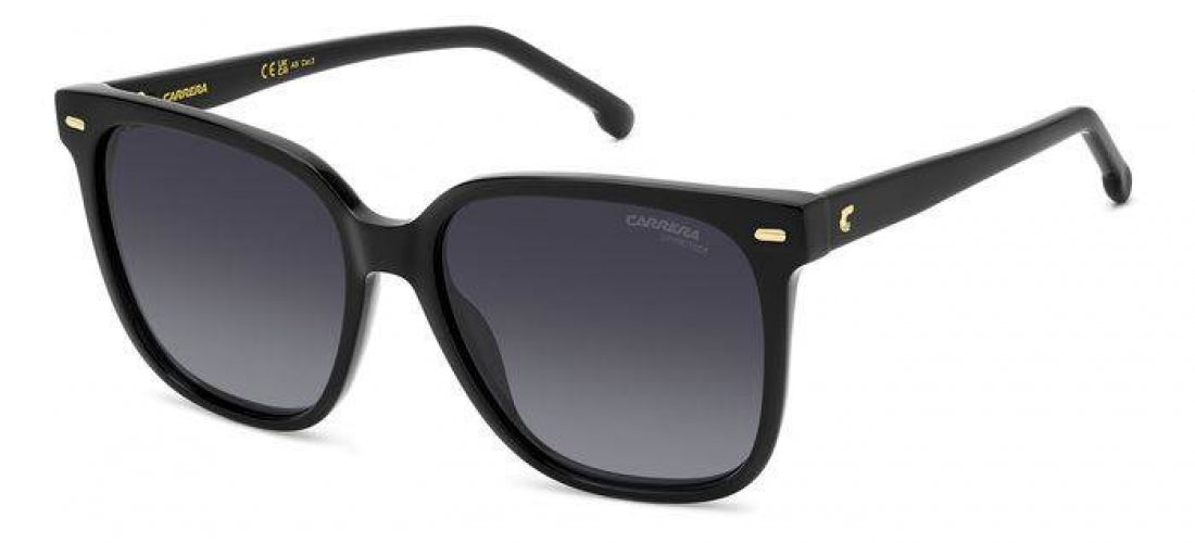 Carreera 3002 Sunglasses