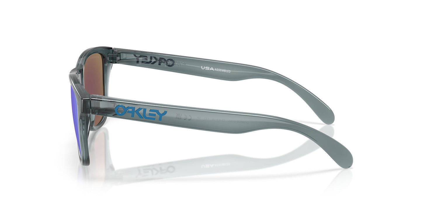 Oaakley Frogskins S 9508 Sunglasses