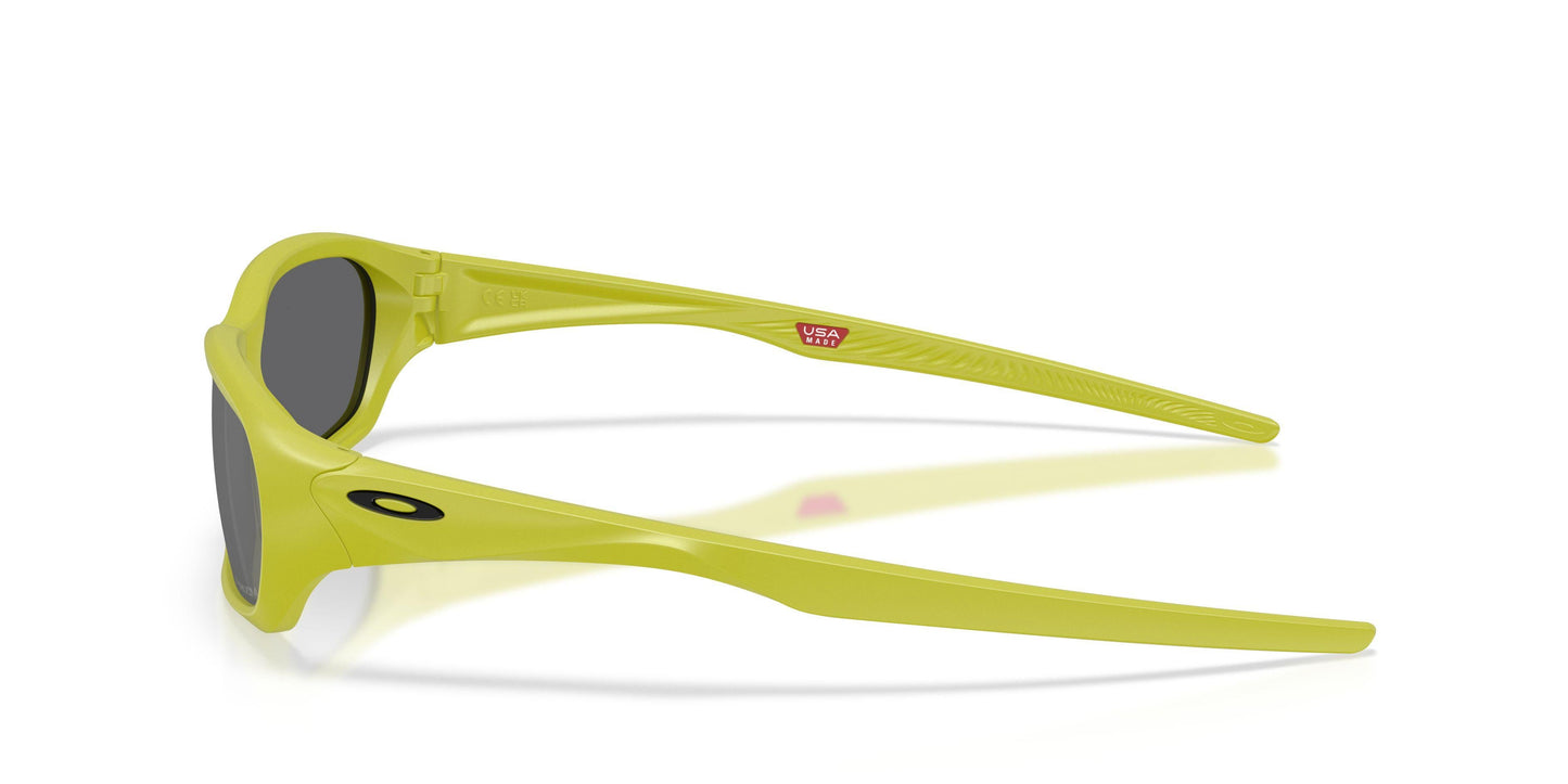 Oaakley Terraforma 9530 Sunglasses