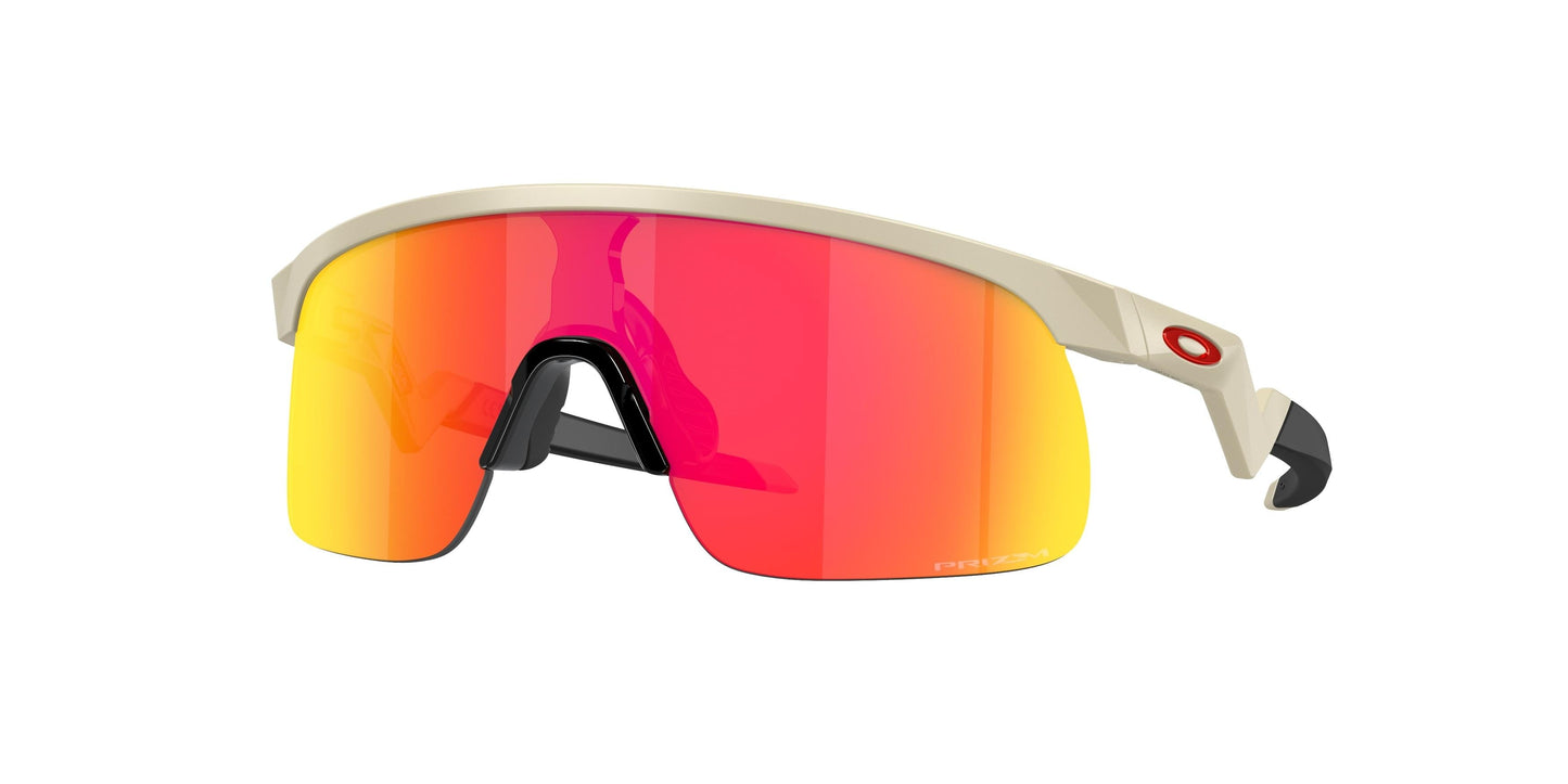 Oaakley Resistor 9010 Sunglasses