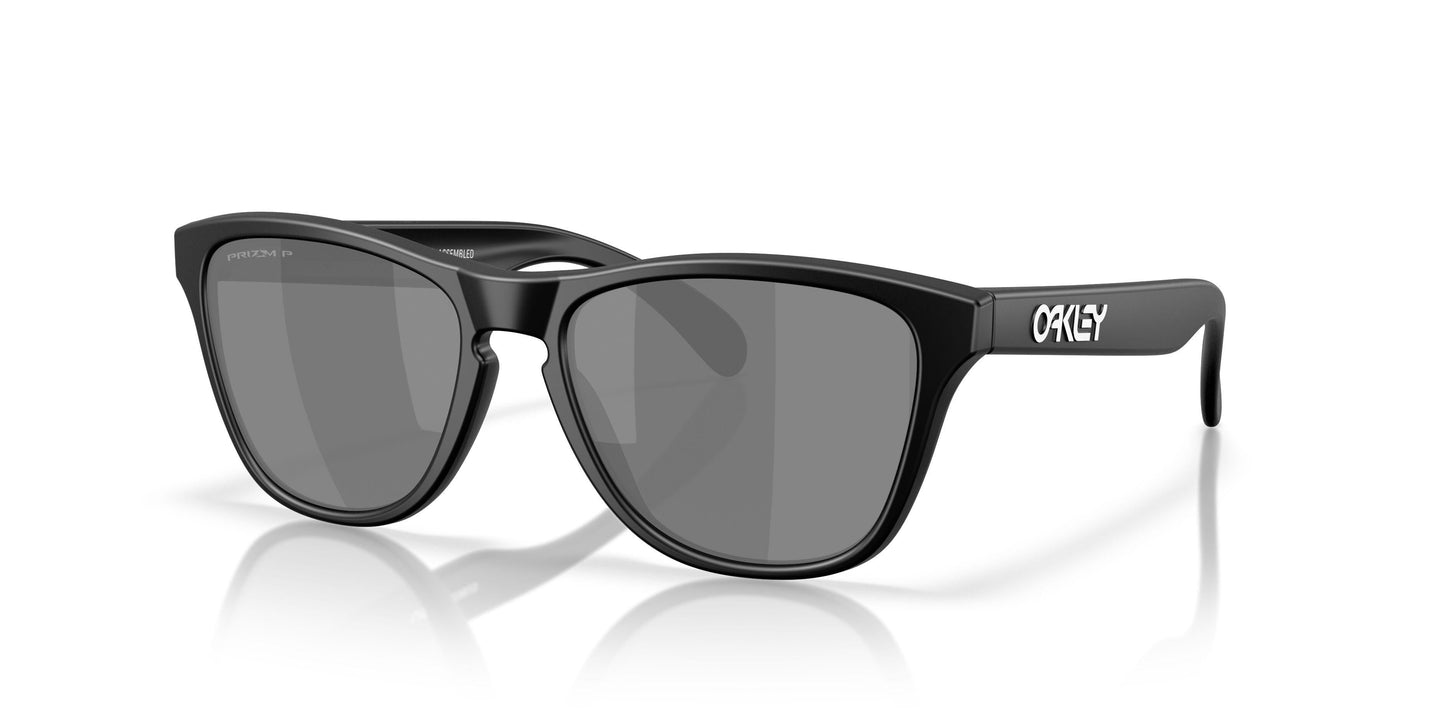Oaakley Frogskins S 9508 Sunglasses