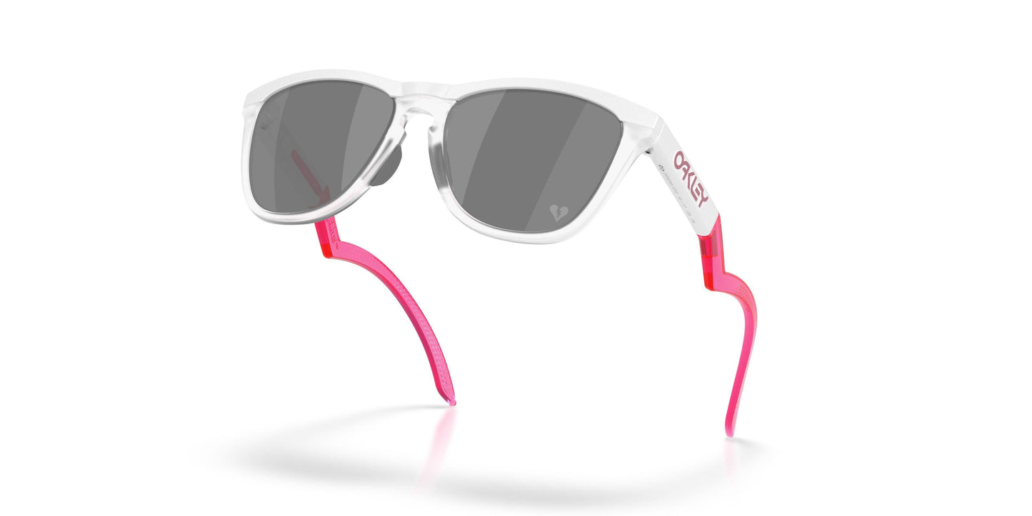 Oaakley Frogskins Hybrid 9289 Sunglasses