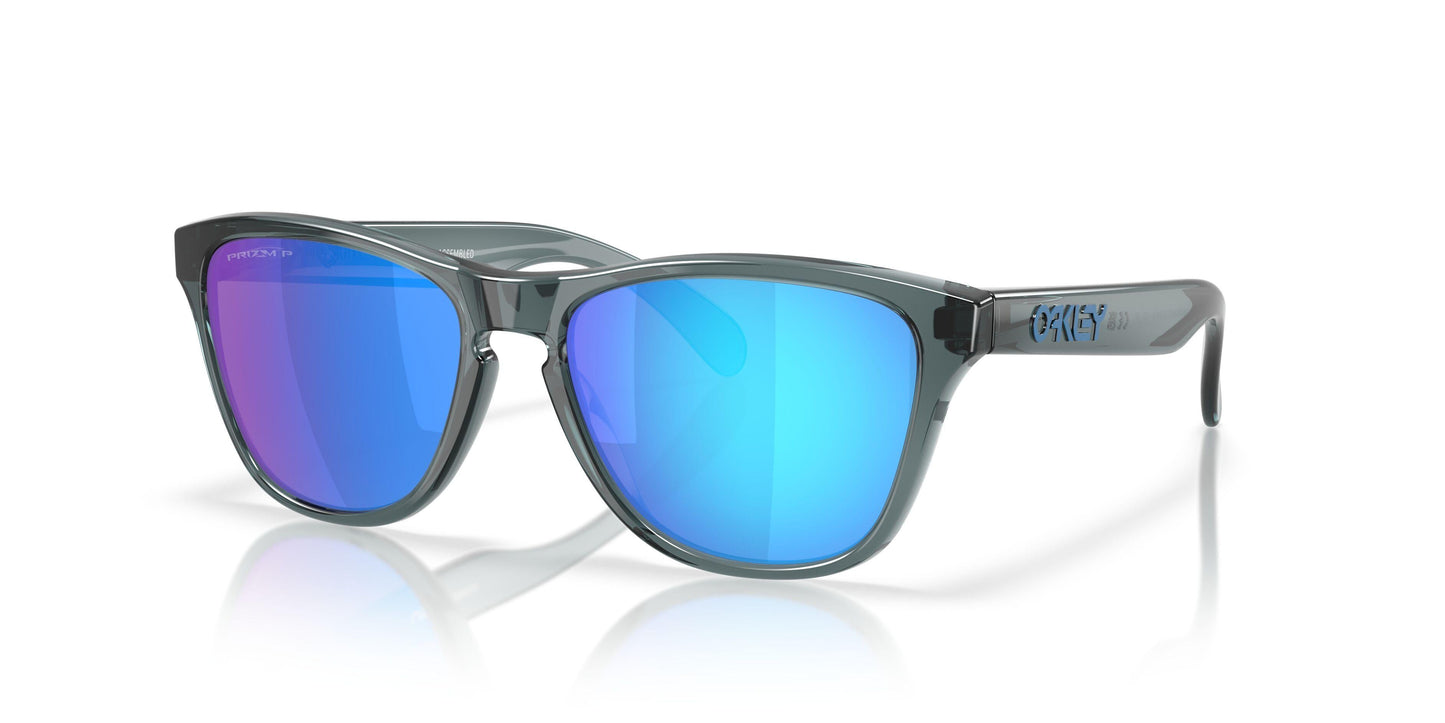 Oaakley Frogskins S 9508 Sunglasses