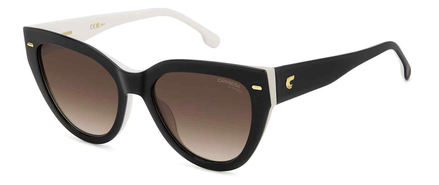Carreera 3017 Sunglasses