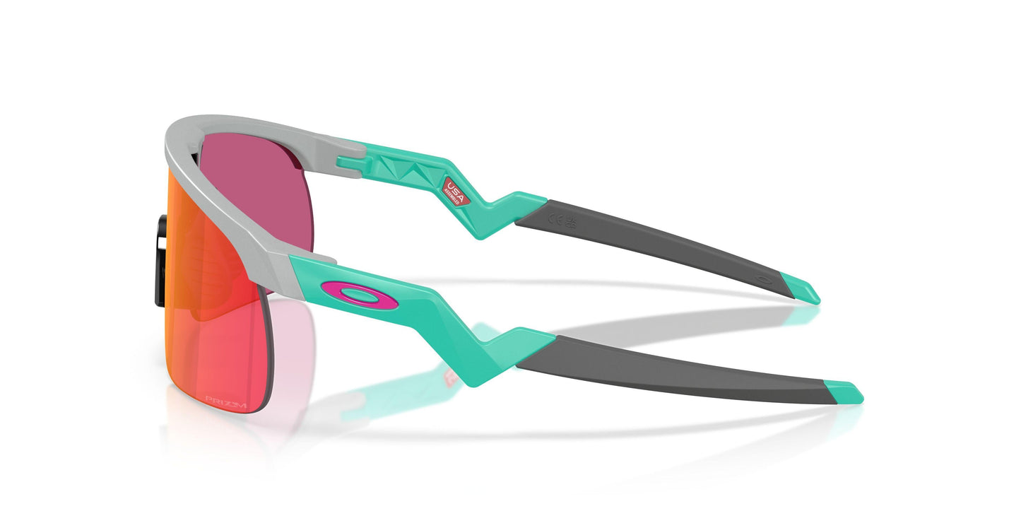 Oaakley Resistor 9010 Sunglasses
