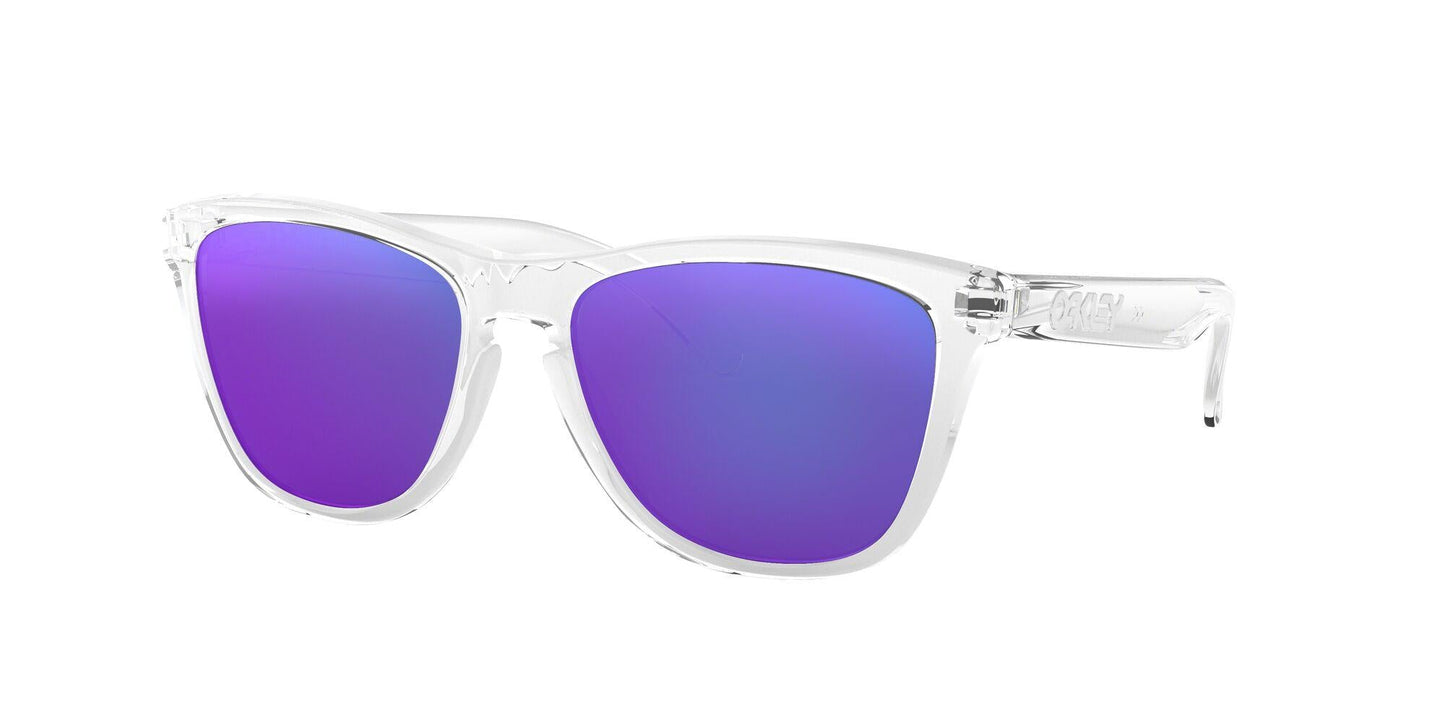 Oaakley Frogskins 9013 Sunglasses