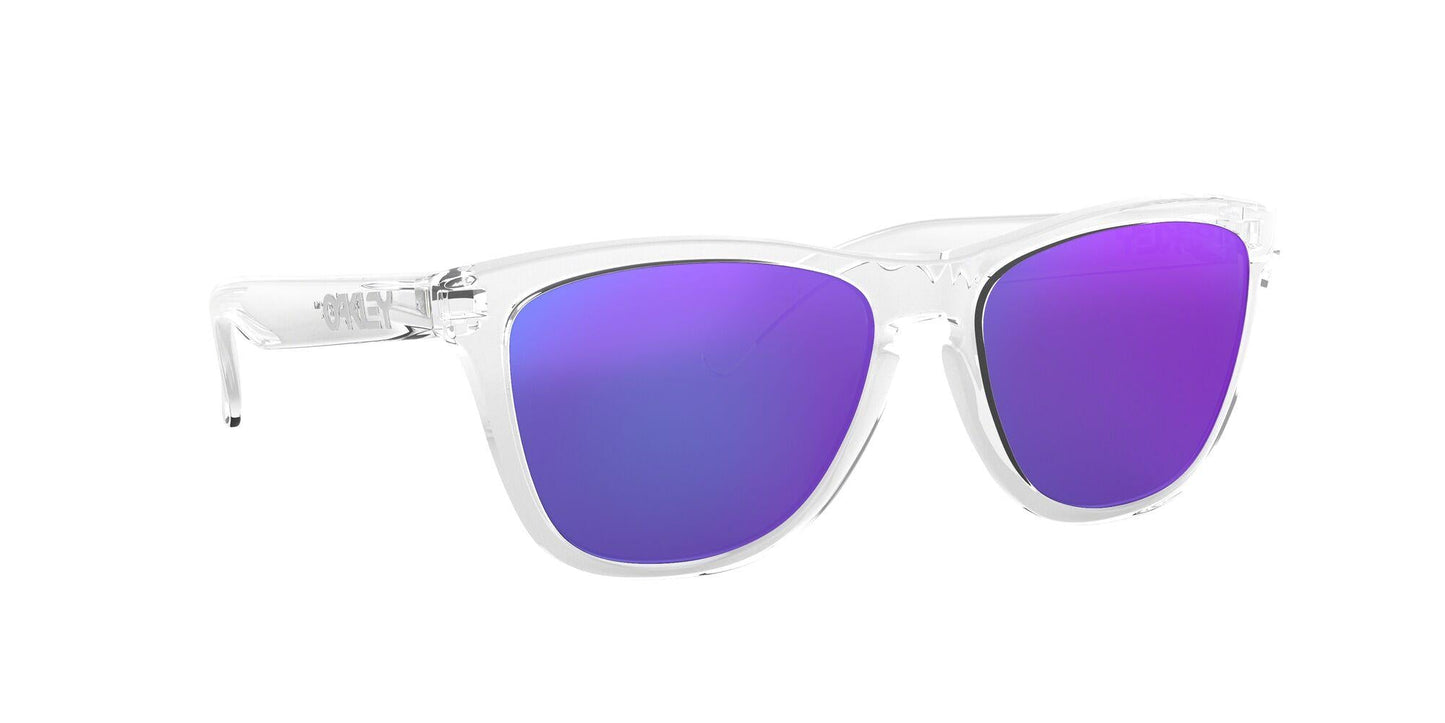 Oaakley Frogskins 9013 Sunglasses