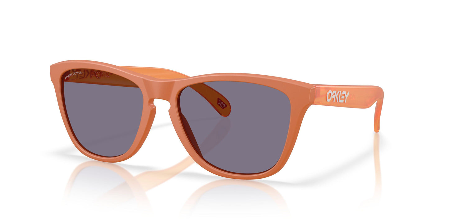 Oaakley Frogskins 9245 Sunglasses