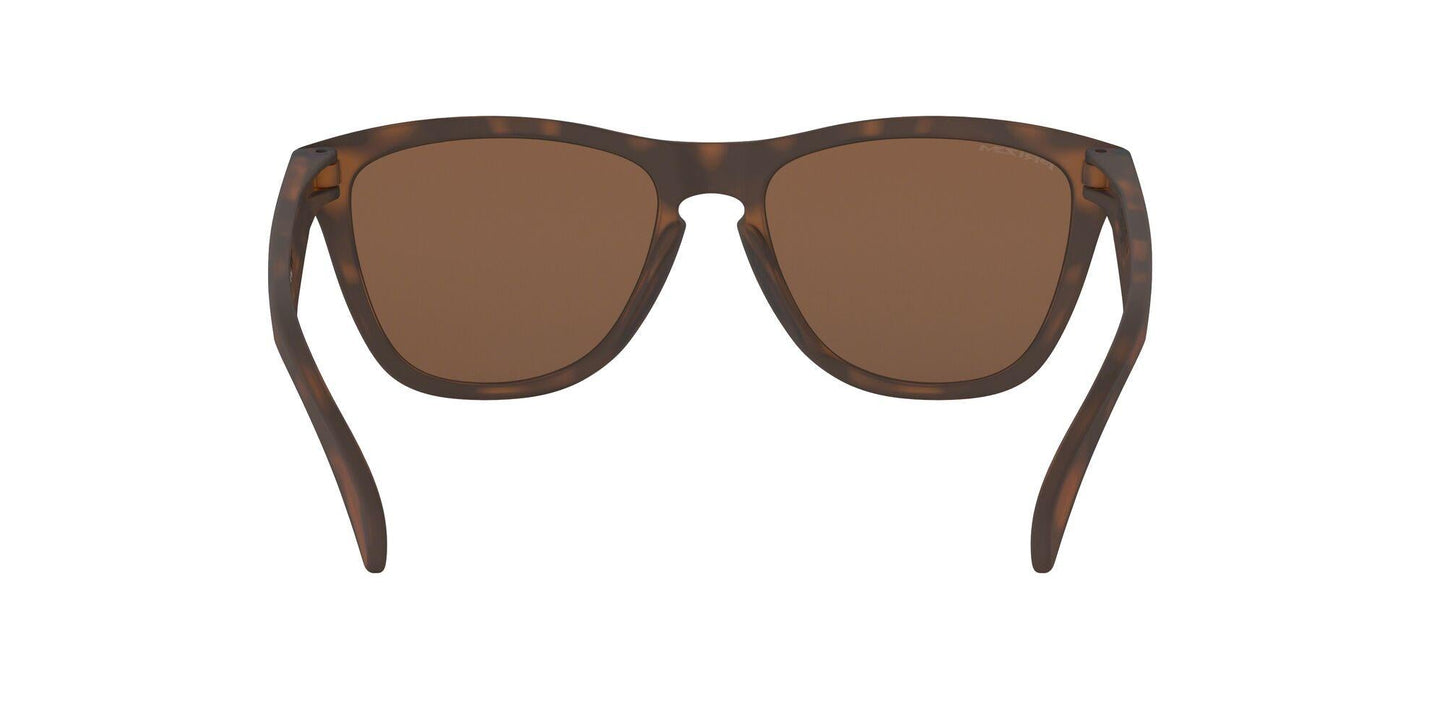 Oaakley Frogskins 9013 Sunglasses