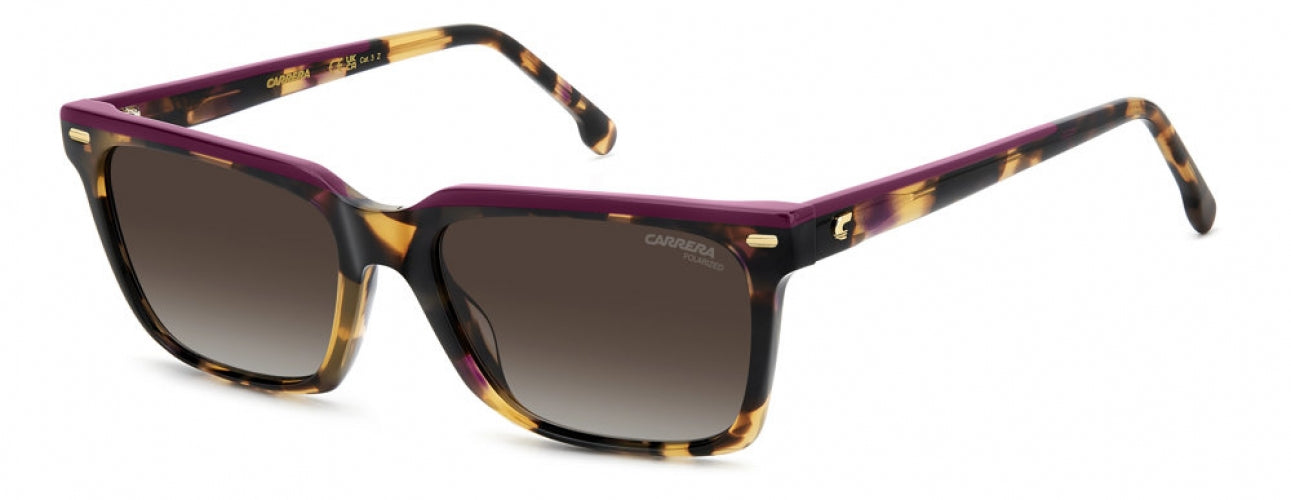 Carreera 3056 Sunglasses
