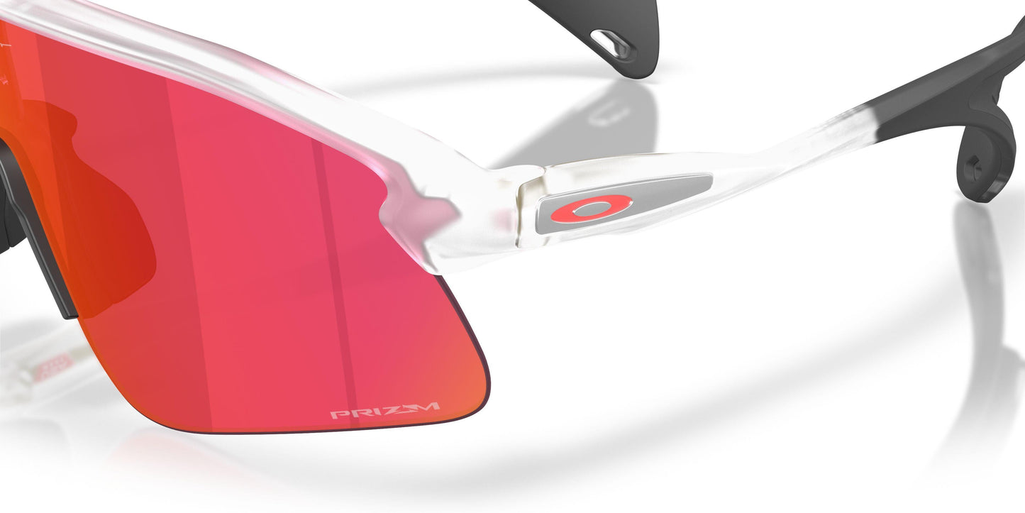 Oaakley Stunt Devil 9517 Sunglasses
