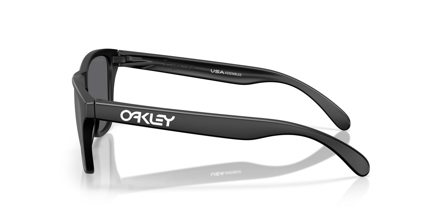 Oaakley Frogskins S 9508 Sunglasses