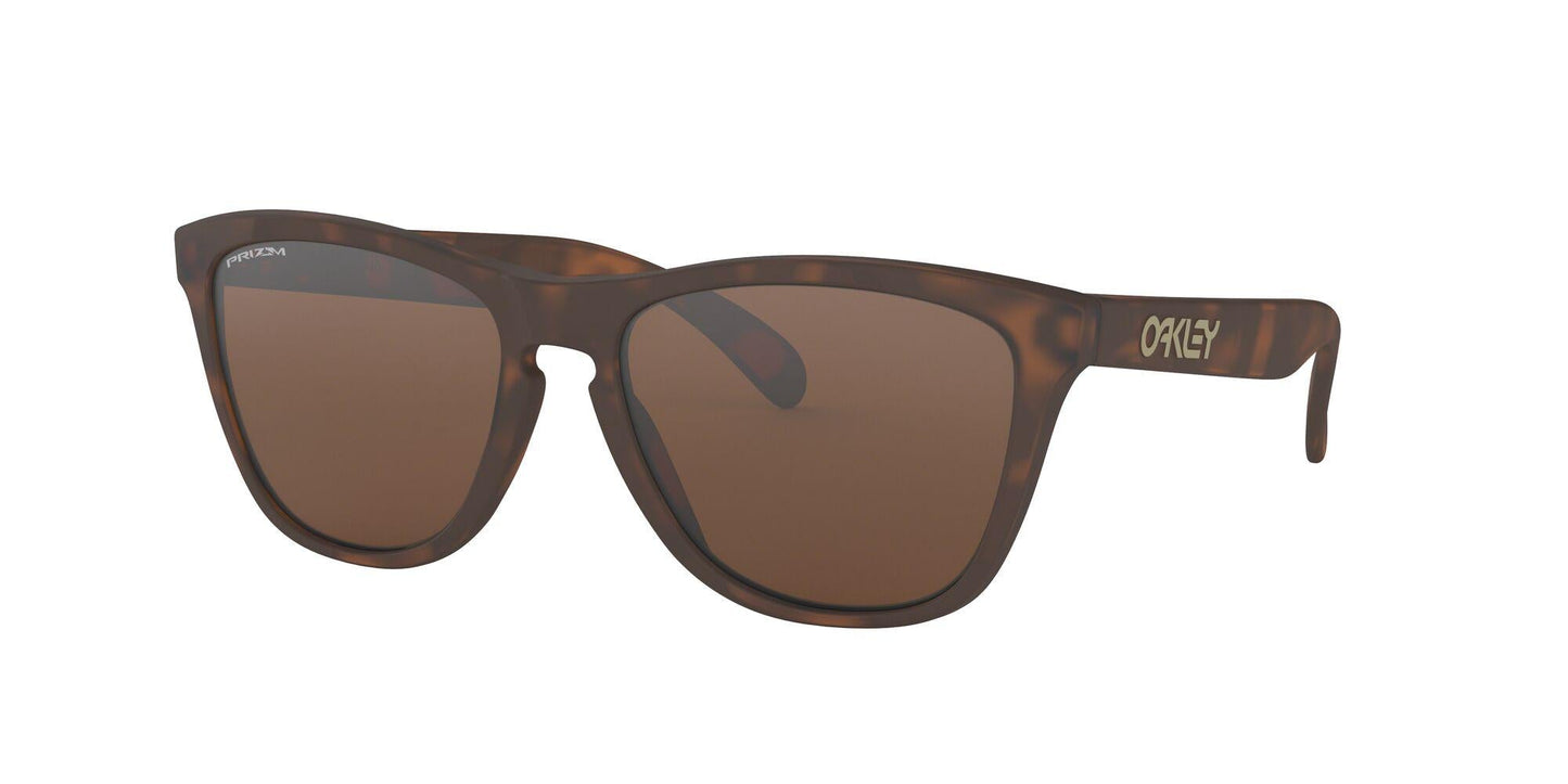 Oaakley Frogskins 9013 Sunglasses