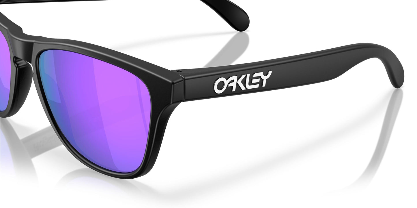 Oaakley Frogskins S 9508 Sunglasses