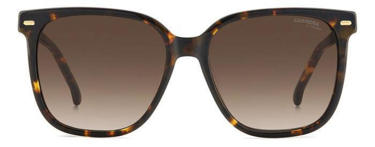 Carreera 3002 Sunglasses