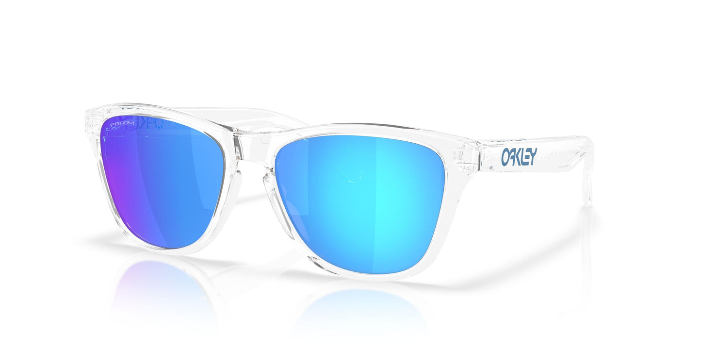 Oaakley Frogskins S 9508 Sunglasses
